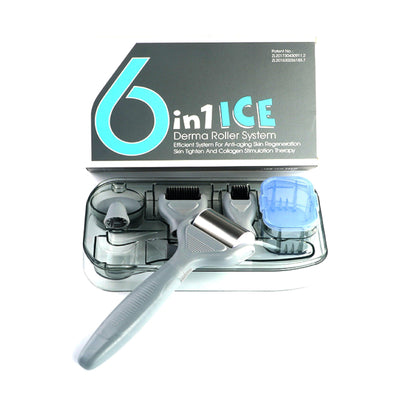 DRS 6 in 1 Ice Silver Needle