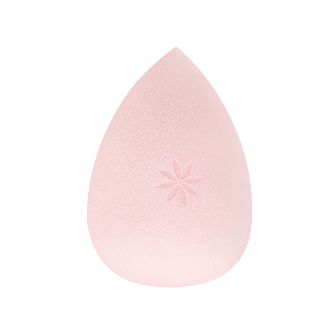 Brushworks Complexation Beauty blender